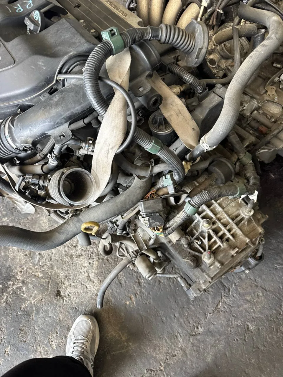 Honda Allusion 2,4 обьем K24a 2004
