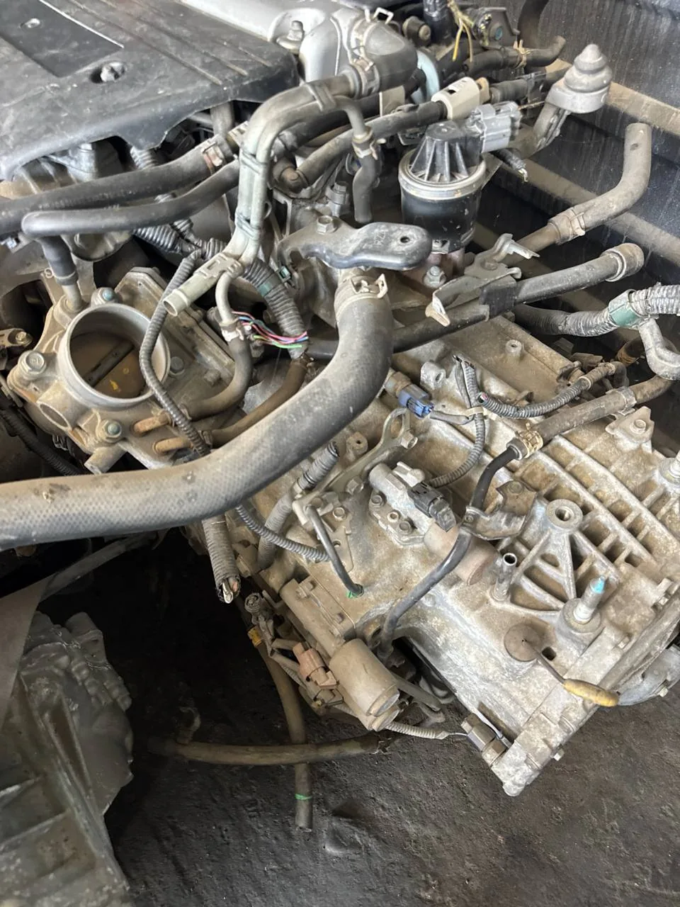 Honda Accord 2006 K24A